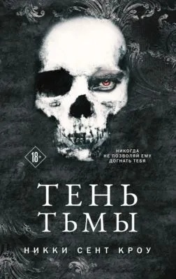Тень Тьмы — обложка книги