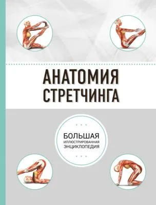 Анатомия стретчинга — обложка книги