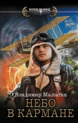Небо в кармане — обложка книги
