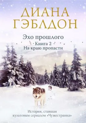 Эхо прошлого. Книга 2. На краю пропасти — обложка книги