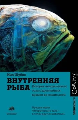 Внутренняя рыба. История человеческого тела с древнейших времен до наших дней — обложка книги