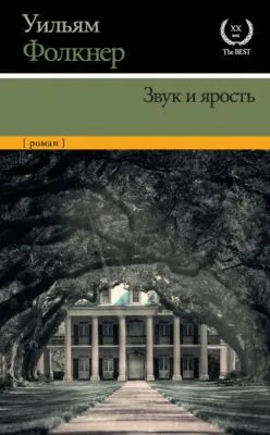 Звук и ярость — обложка книги