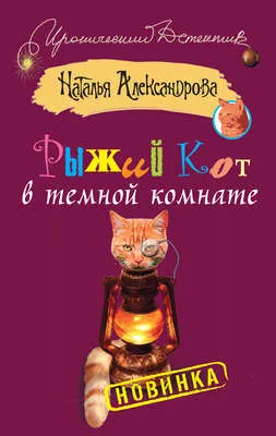 Рыжий кот в темной комнате — обложка книги