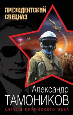 Ангелы сирийского неба — обложка книги