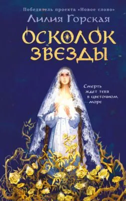Осколок звезды — обложка книги