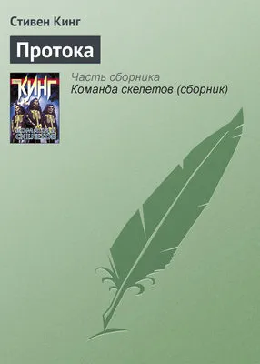 Протока — обложка книги