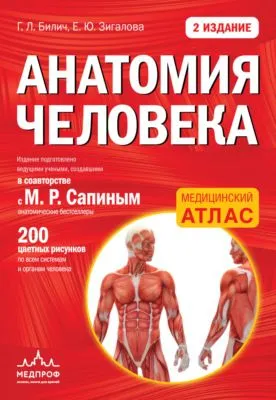 Анатомия человека — обложка книги