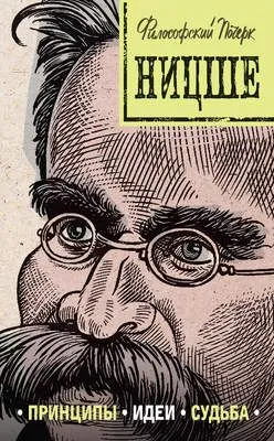 Ницше: принципы, идеи, судьба — обложка книги