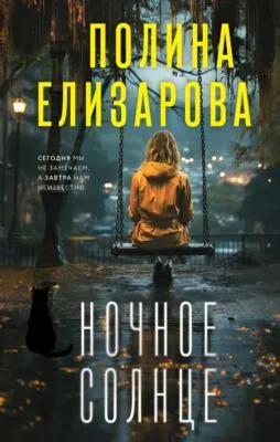 Ночное солнце — обложка книги