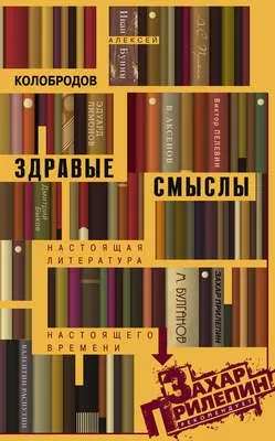 Здравые смыслы. Настоящая литература настоящего времени — обложка книги