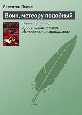 Воин, метеору подобный — обложка книги