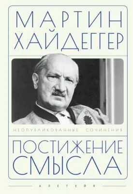 Постижение смысла — обложка книги