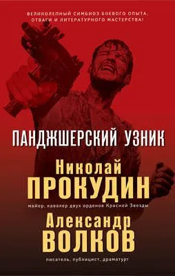 Панджшерский узник — обложка книги