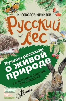Русский лес. С вопросами и ответами для почемучек — обложка книги