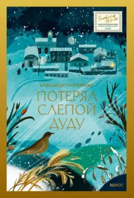 Потерял слепой дуду — обложка книги