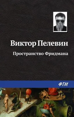Пространство Фридмана — обложка книги