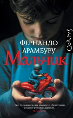 Мальчик — обложка книги