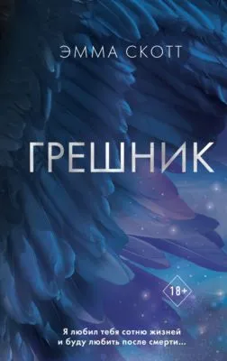 Грешник — обложка книги