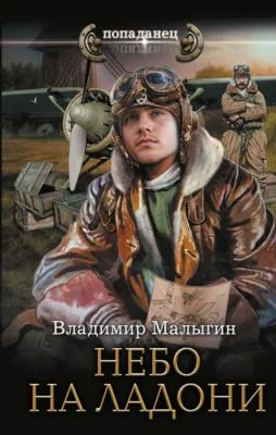 Небо на ладони — обложка книги