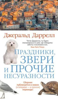 Праздники, звери и прочие несуразности — обложка книги