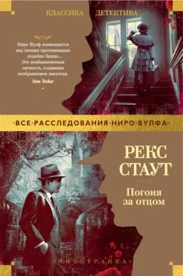 Погоня за отцом — обложка книги