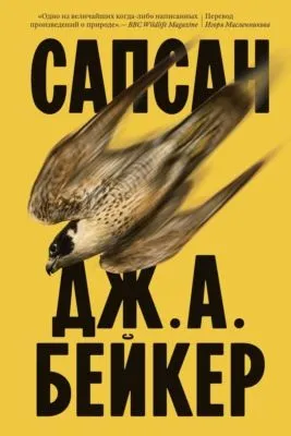 Сапсан — обложка книги