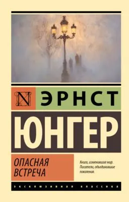 Опасная встреча — обложка книги