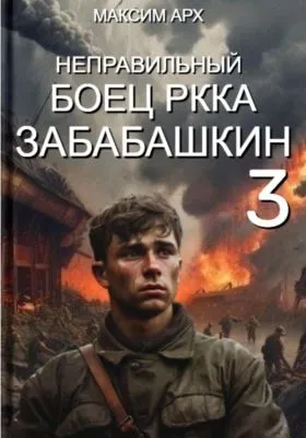 Неправильный боец РККА Забабашкин — обложка книги
