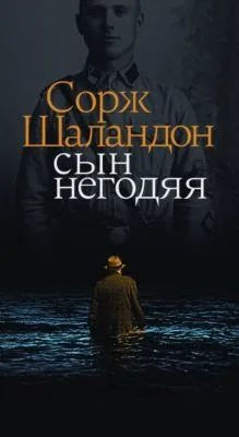 Сын негодяя — обложка книги