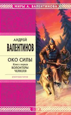 Волонтеры Челкеля — обложка книги