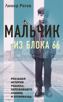 Мальчик из Блока 66. Реальная история ребенка, пережившего Аушвиц и Бухенвальд — обложка книги