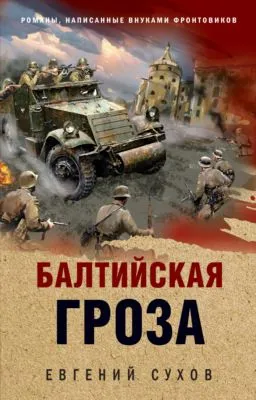 Балтийская гроза — обложка книги