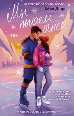 Мы пылаем огнем — обложка книги