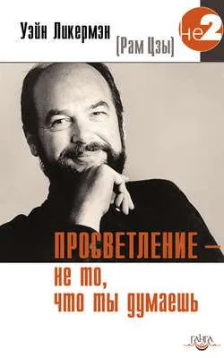 Просветление – не то, что ты думаешь — обложка книги