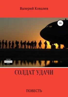 Солдат удачи — обложка книги