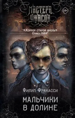 Мальчики в долине — обложка книги