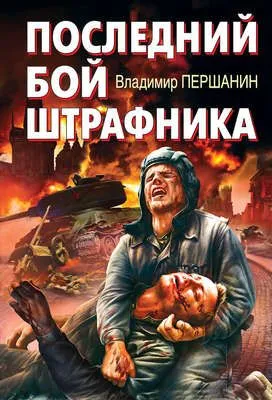 Последний бой штрафника — обложка книги