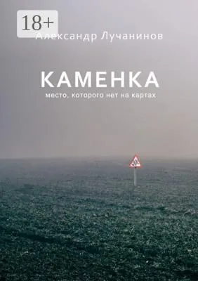 Каменка — обложка книги