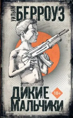 Дикие мальчики — обложка книги