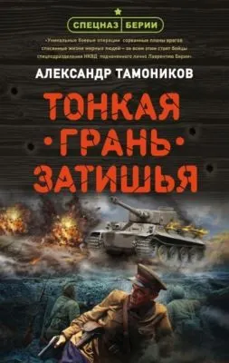 Тонкая грань затишья — обложка книги