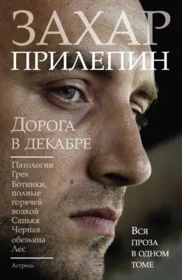 Дорога в декабре (сборник) — обложка книги