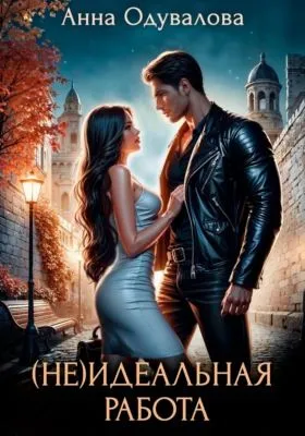 (Не)идеальная работа — обложка книги