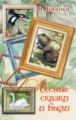 Лесные сказки и были (сборник) — обложка книги
