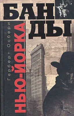 Банды Нью-Йорка — обложка книги