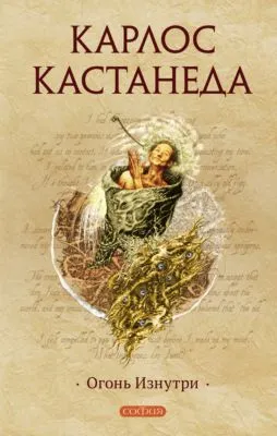 Огонь Изнутри — обложка книги