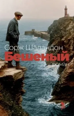 Бешеный — обложка книги