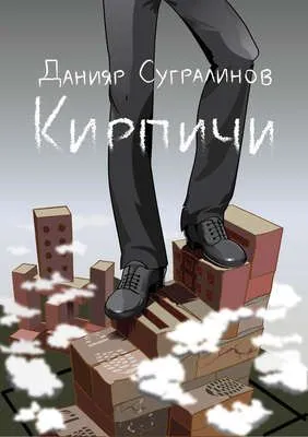 Кирпичи — обложка книги