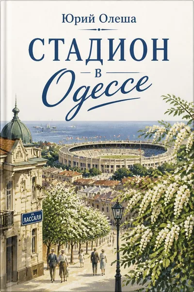 Стадион в Одессе — обложка книги
