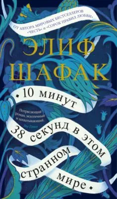 10 минут 38 секунд в этом странном мире — обложка книги