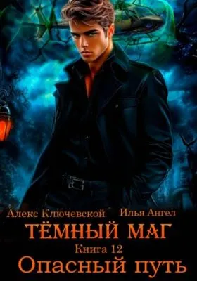 Тёмный маг. Книга 12. Опасный путь — обложка книги